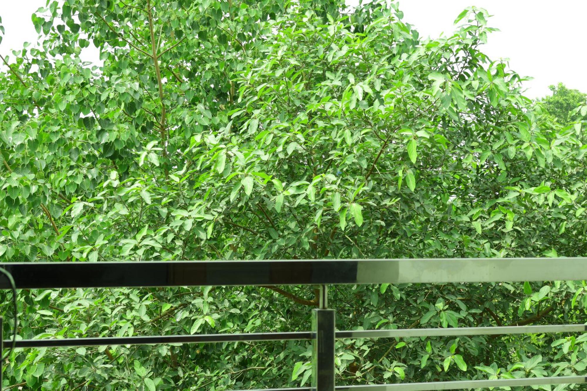 Trpotels Subhmagal Gwalior Exterior photo